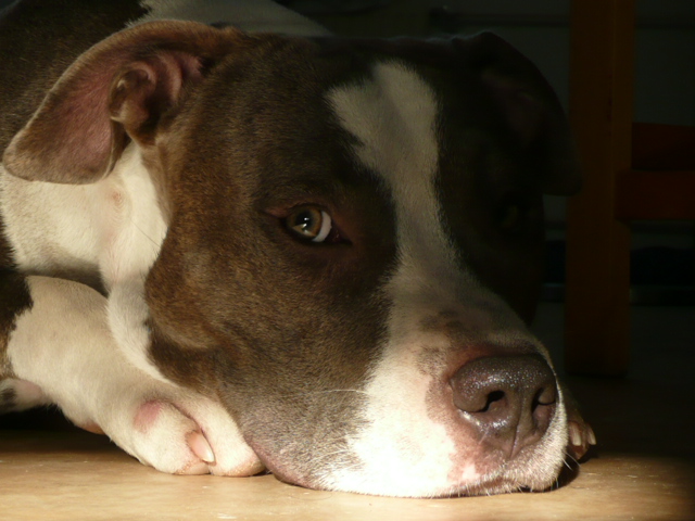 P1130444.JPG